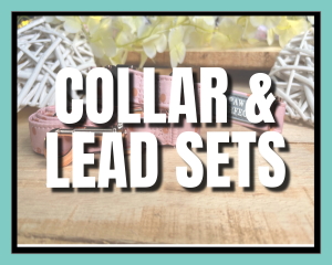 Pawperfectuk collar and lead collection